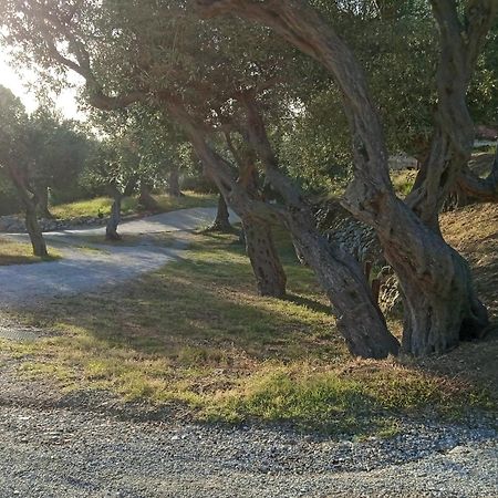 Twin Villas Rodia Εξωτερικό φωτογραφία