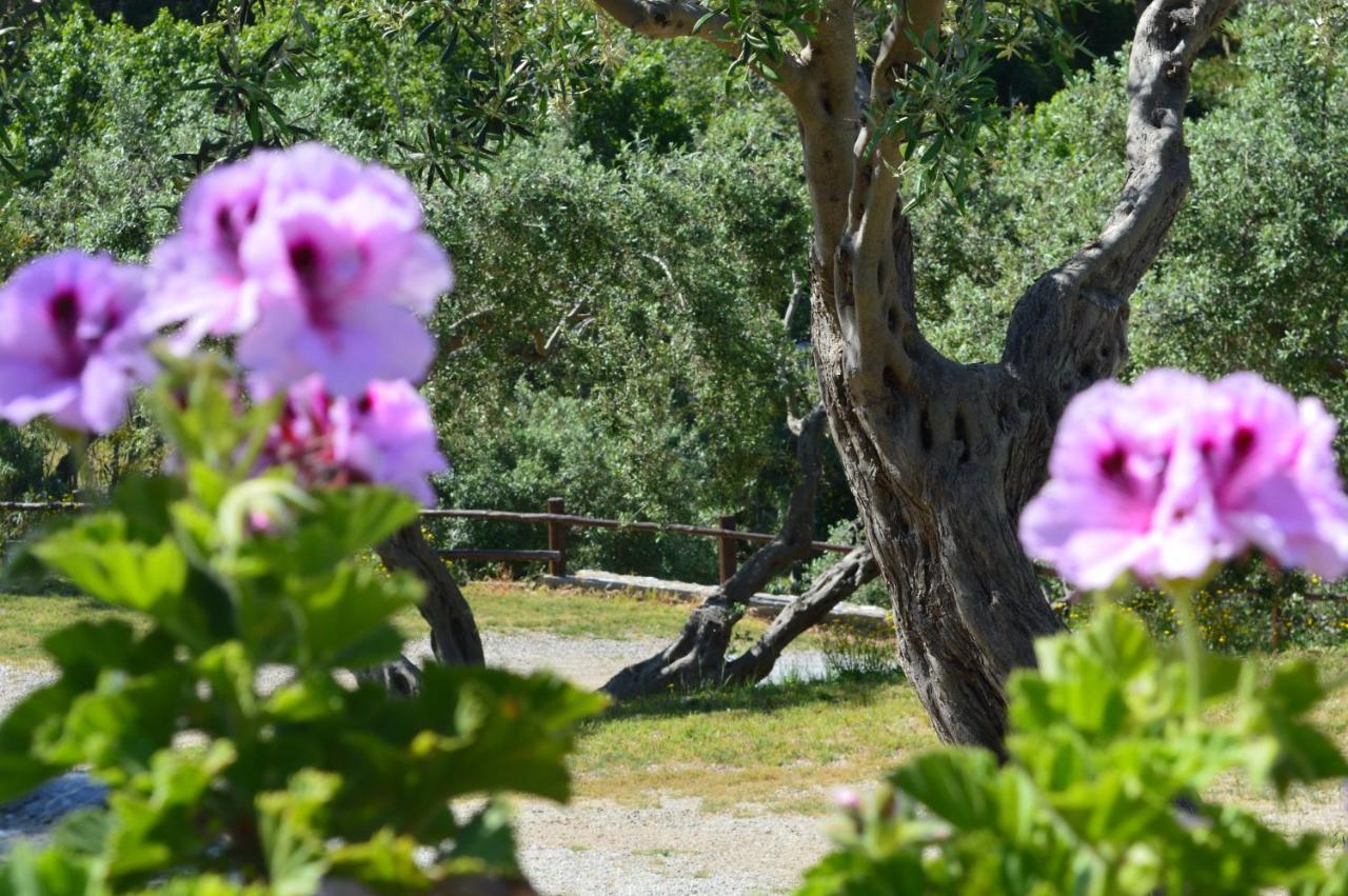 Twin Villas Rodia Εξωτερικό φωτογραφία